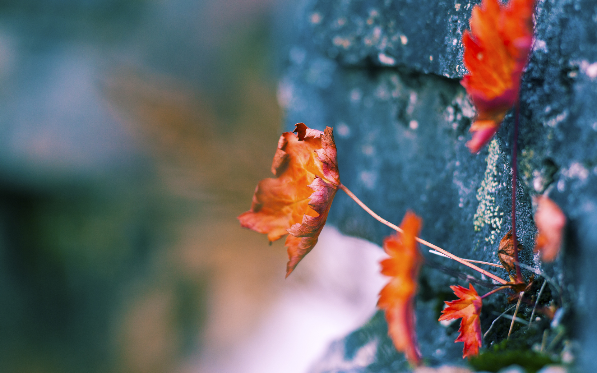 热火宣布巴特勒恢复训练预计即将回归,巴特勒热火首秀