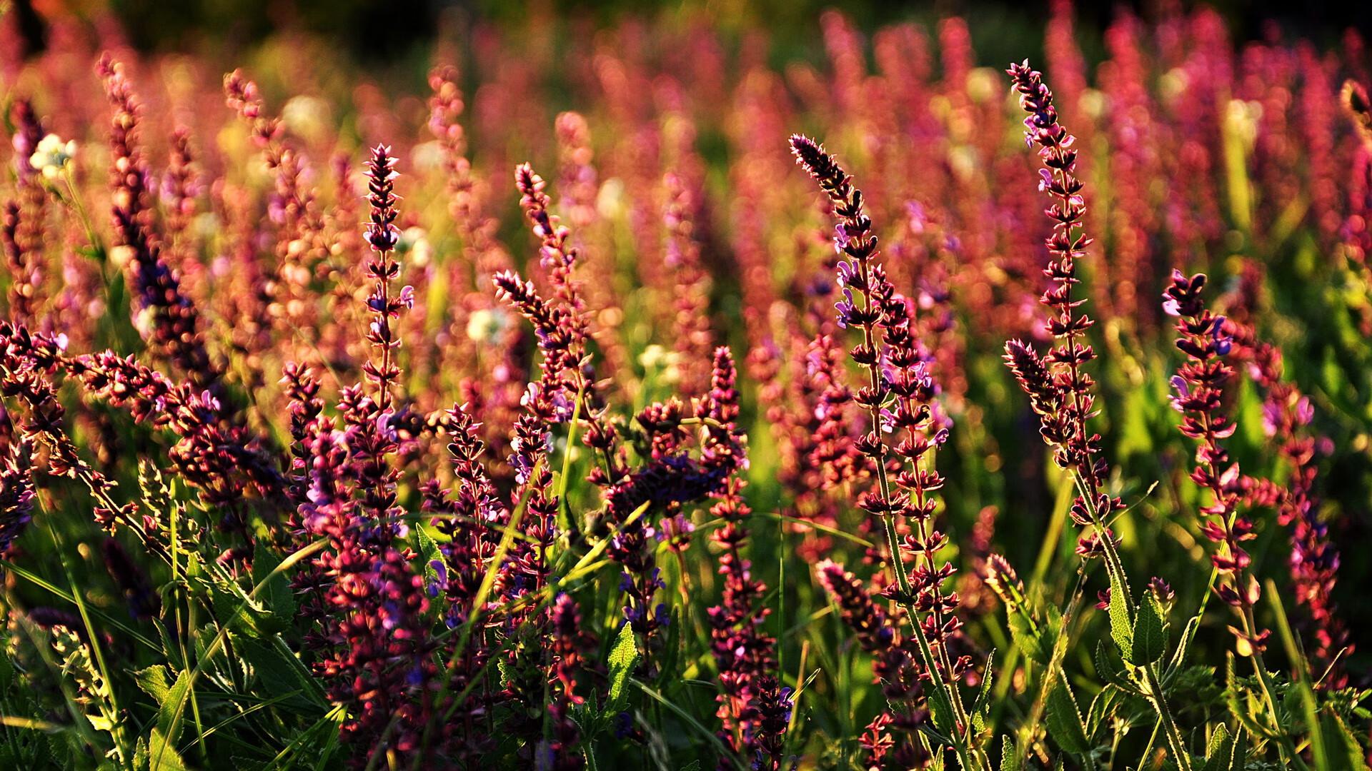 高难动作成功率提高，高难度动作视频教程