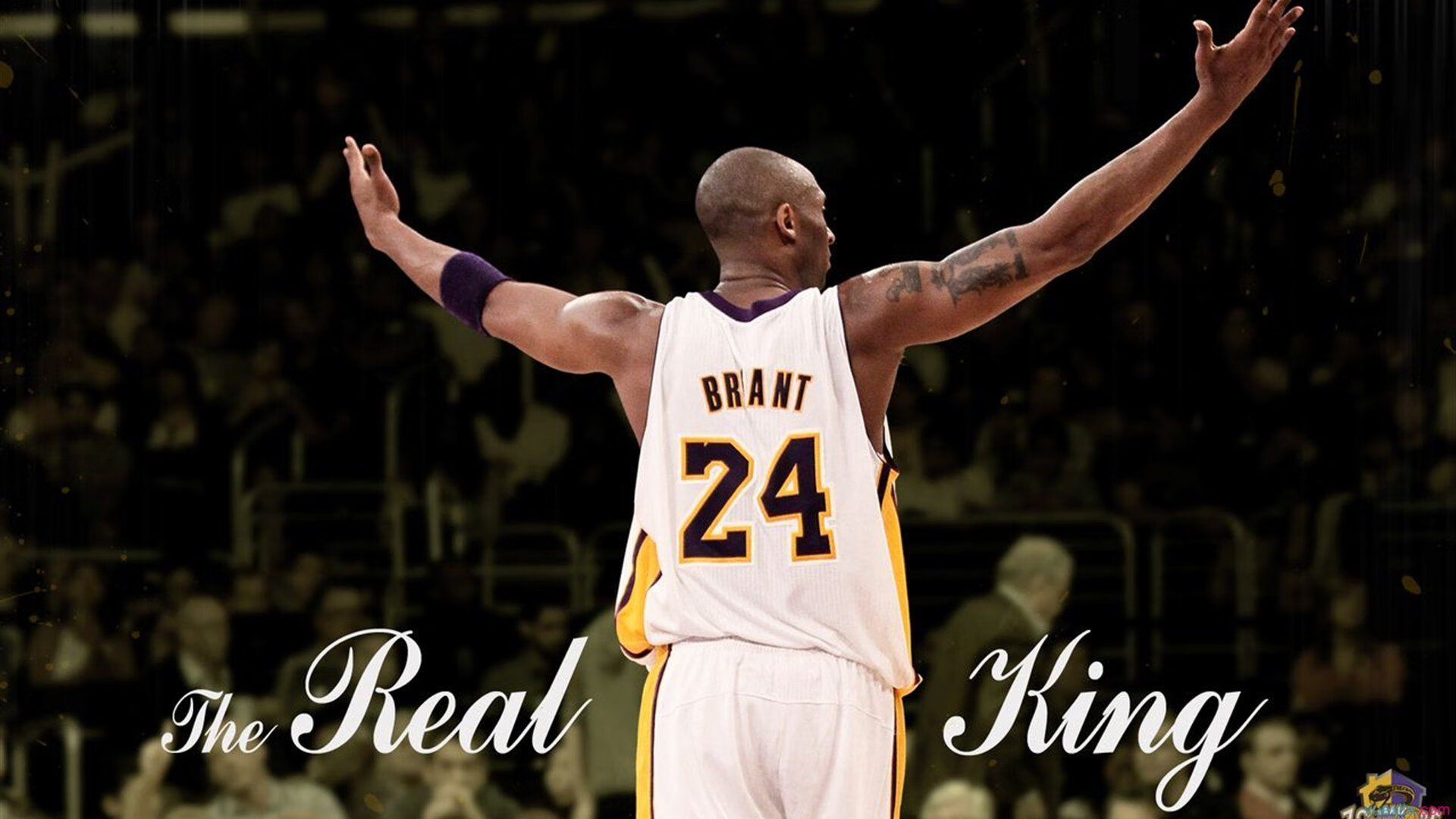 未来十年：联盟文化的新变革，联盟 发展